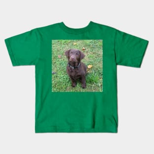 Labrador Retriever Chocolate Puppy Sitting Kids T-Shirt